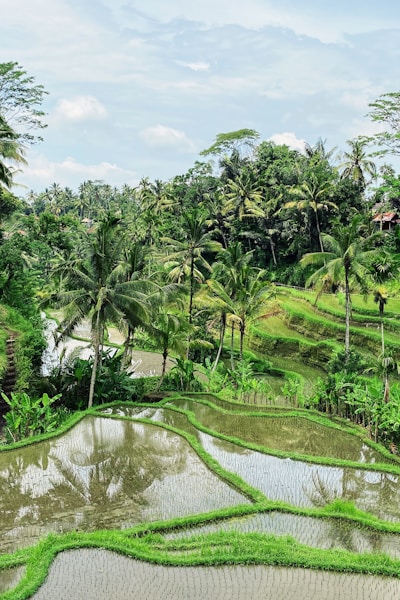 Summer beauty essentials